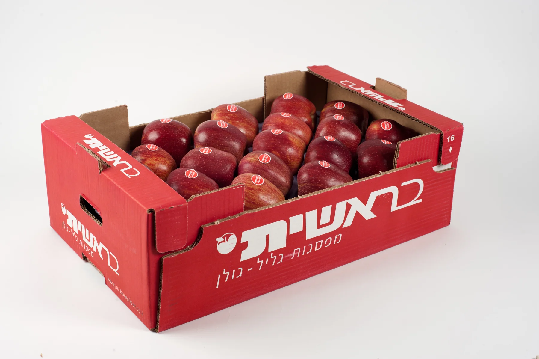 Vibrant fresh fruit ready for export