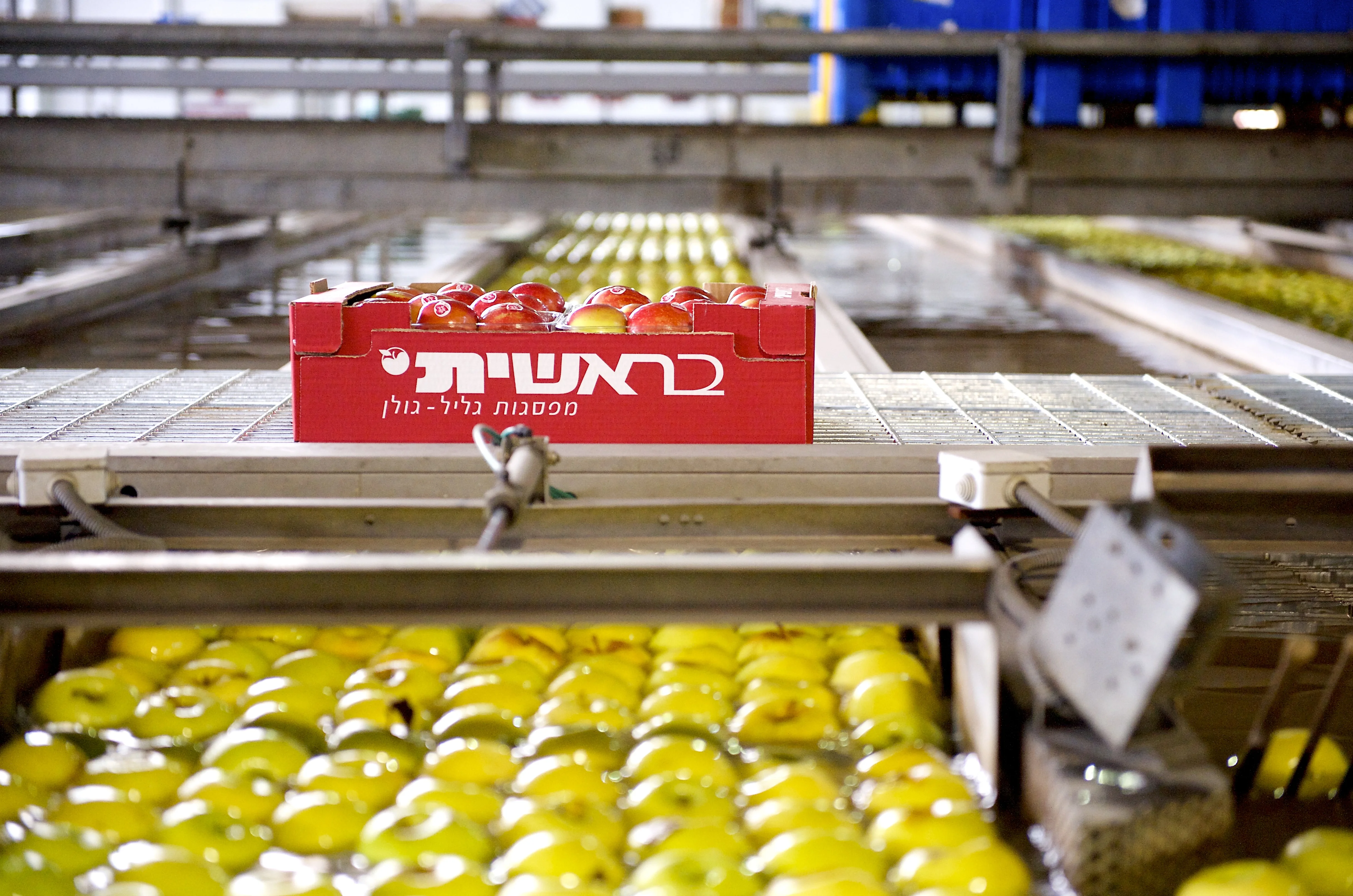 Fruit packing and storage facility