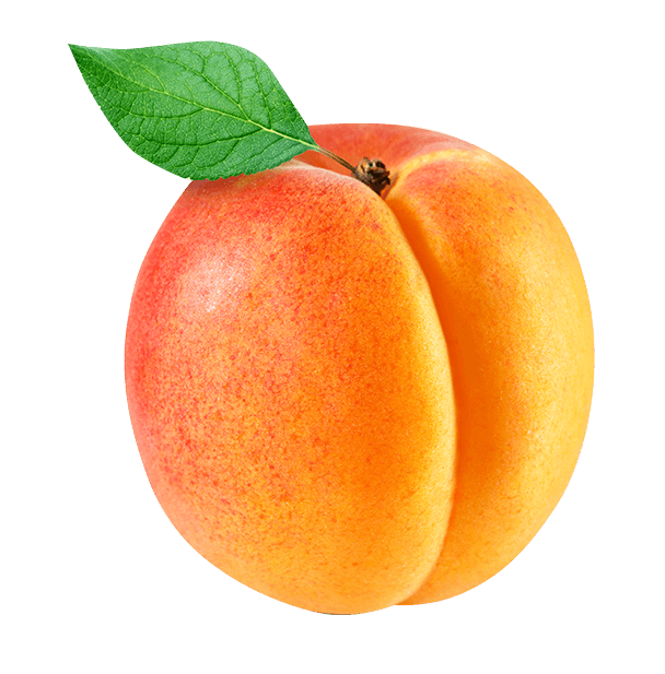 מישמש
