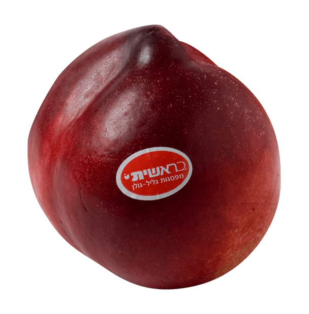 נקטרינה