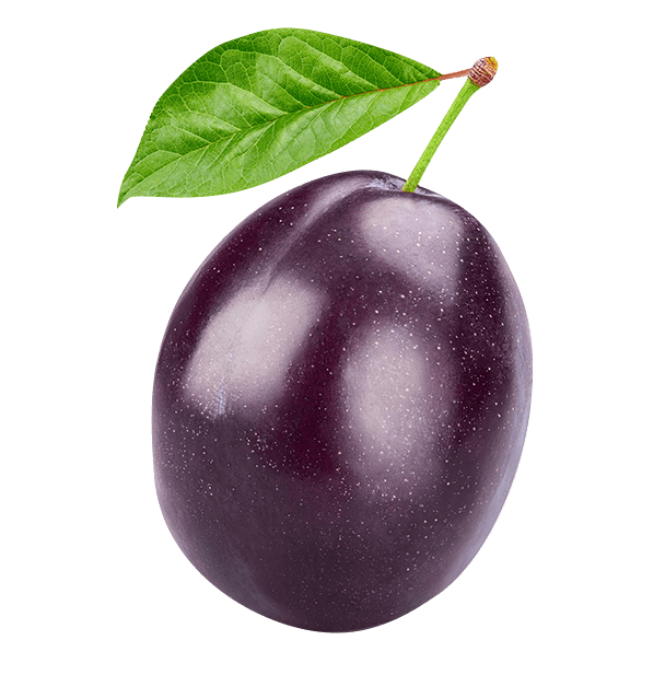 שזיף