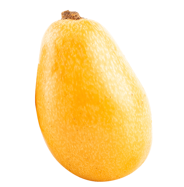 שסק